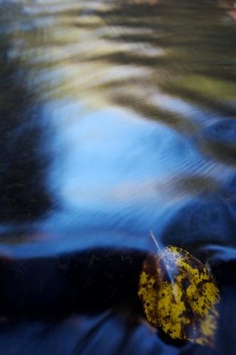 Abstract;Boulder;Cascade;Cascading;Cataract;Chute;Cool;Creek;Falling;Falls;Flow;Flowing;Foliage;Geological;Geology;Leaf;Leafy;Leaves;Patterns;Pouring;Reflection;Reflections;Rock;Rock formations;Rocks;Shapes;Spilling;Spray;Stone;Stream;Striation;Textures;Vein;Water;Waterfall;Waterfalls;Wet